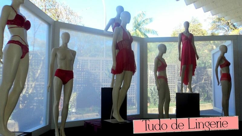 fevest nova friburgo